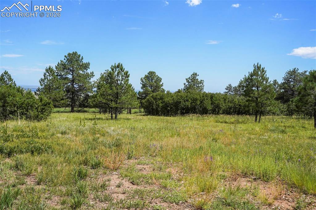 Image 12 of 16: Other