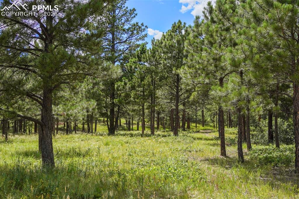 Image 13 of 16: Other