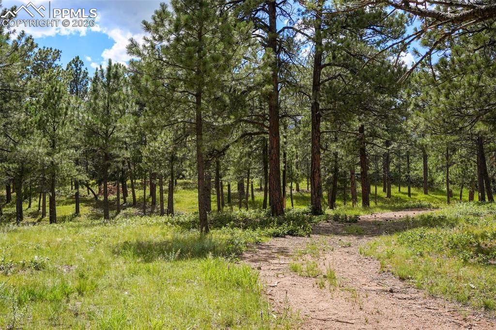 Image 4 of 16: Other