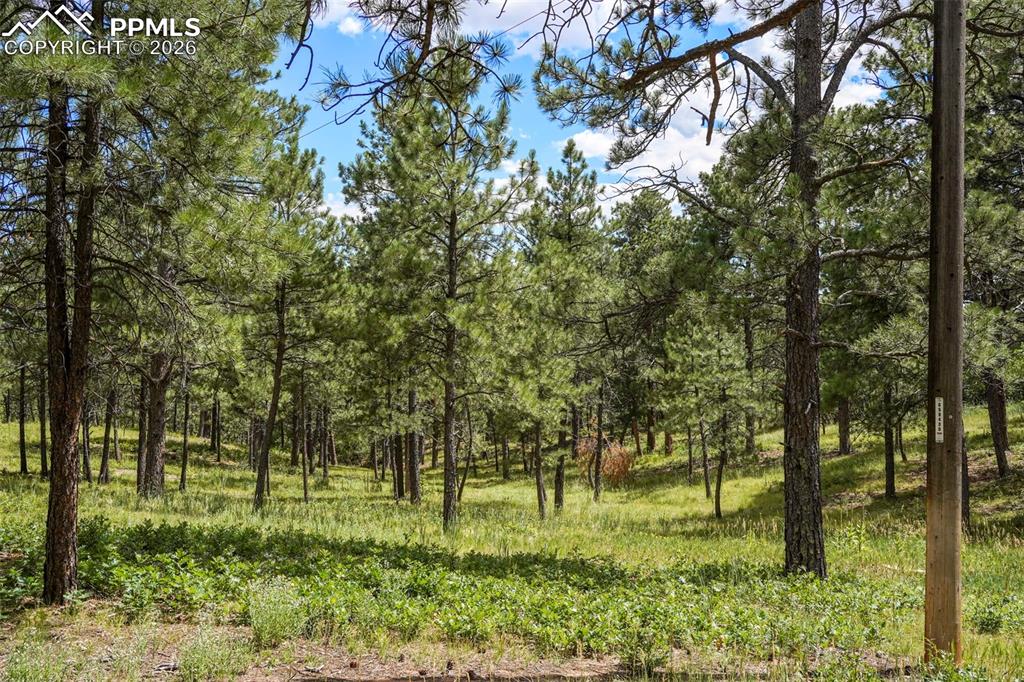 Image 6 of 16: Other