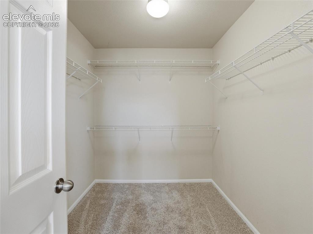 Image 28 of 45: Walk-in closet with carpet flooring, light-toned walls, and a ceiling-mount