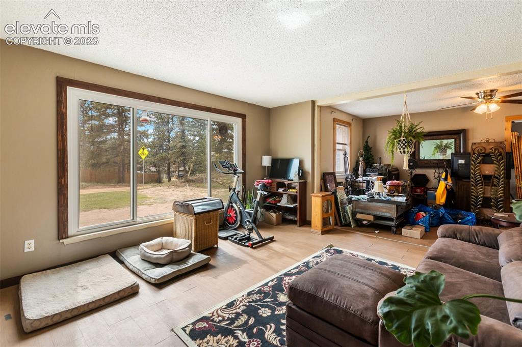 Image 4 of 24: Living Room