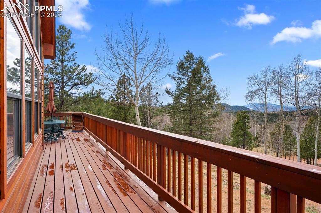 Image 16 of 34: No Description Available