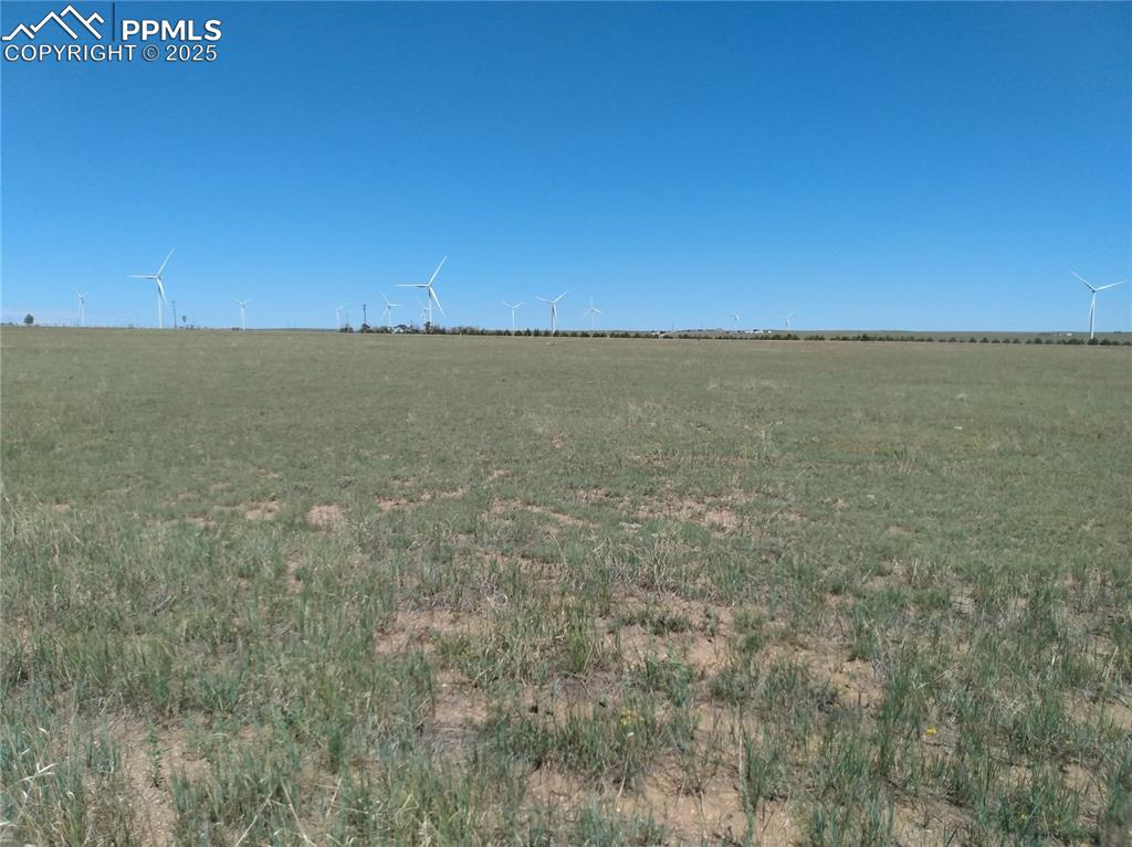 Image 12 of 12: Other