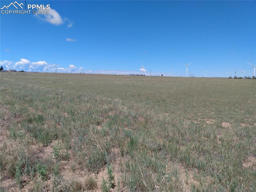 Image 4 of 12: Other