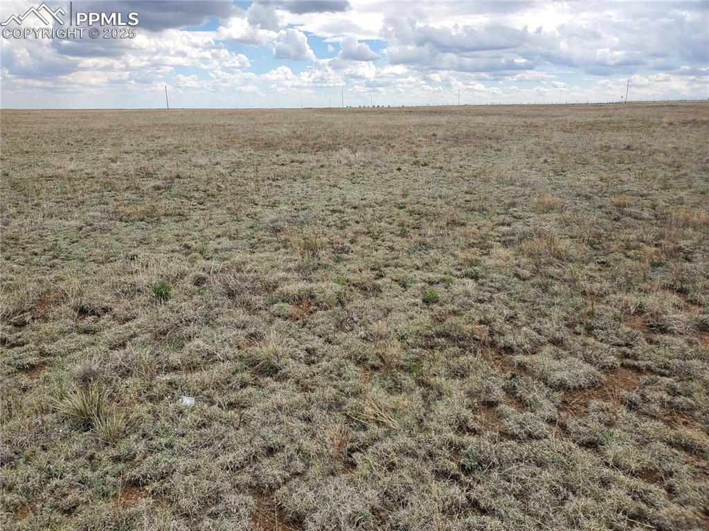 Image 7 of 12: Other