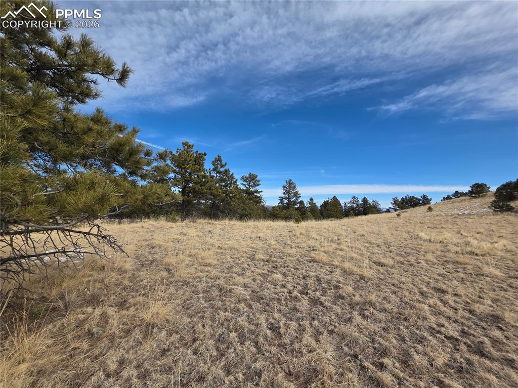 Image 10 of 10: Other