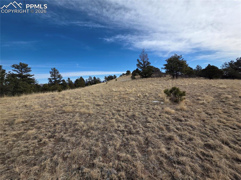 Image 4 of 10: Other