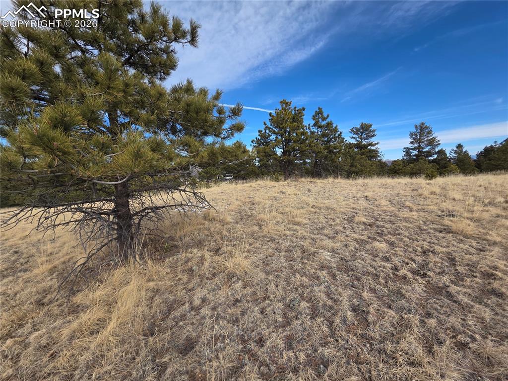 Image 5 of 10: Other