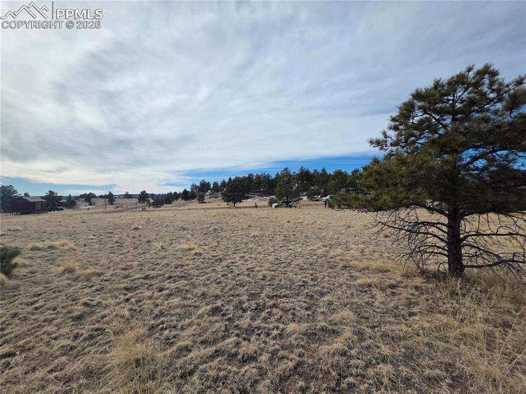 Image 7 of 10: Other