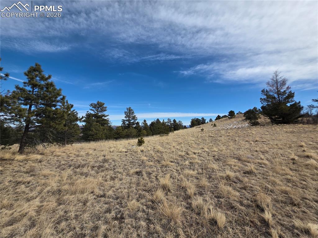 Image 8 of 10: Other