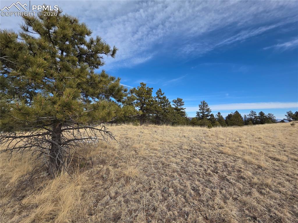 Image 9 of 10: Other