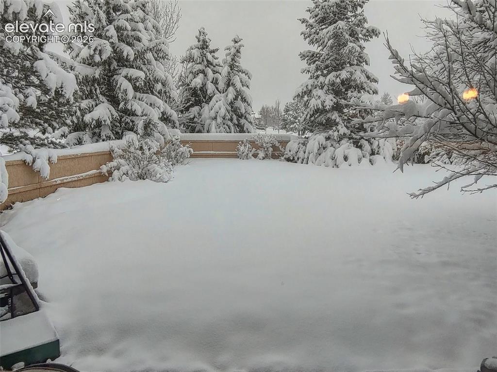 Image 44 of 50: Wintery back yard!