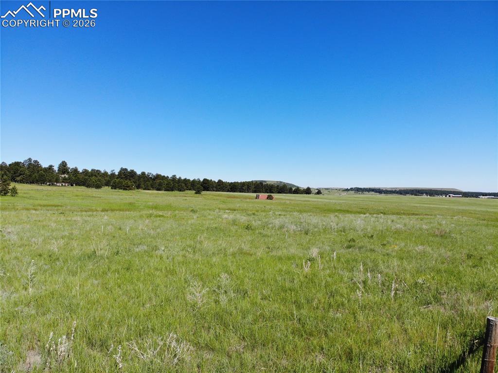 Image 3 of 33: Other