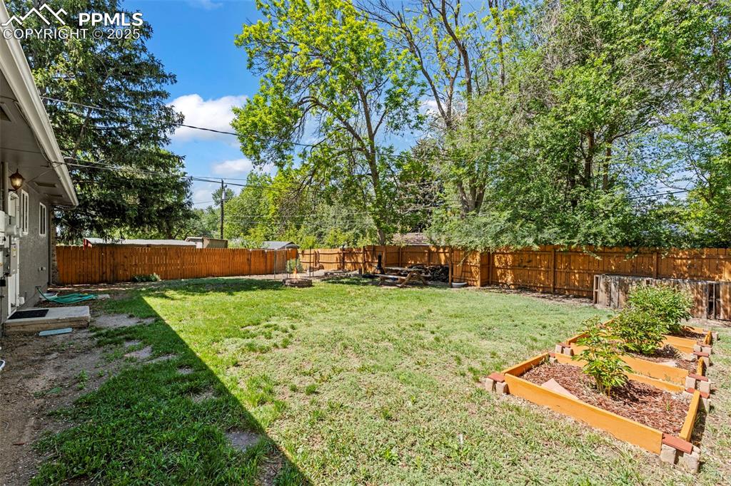 Image 33 of 41: Large, Private backyard with towering mature trees