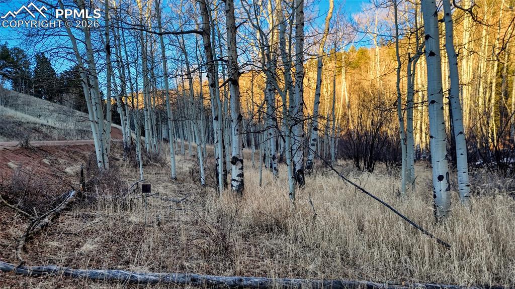 Image 12 of 23: Other