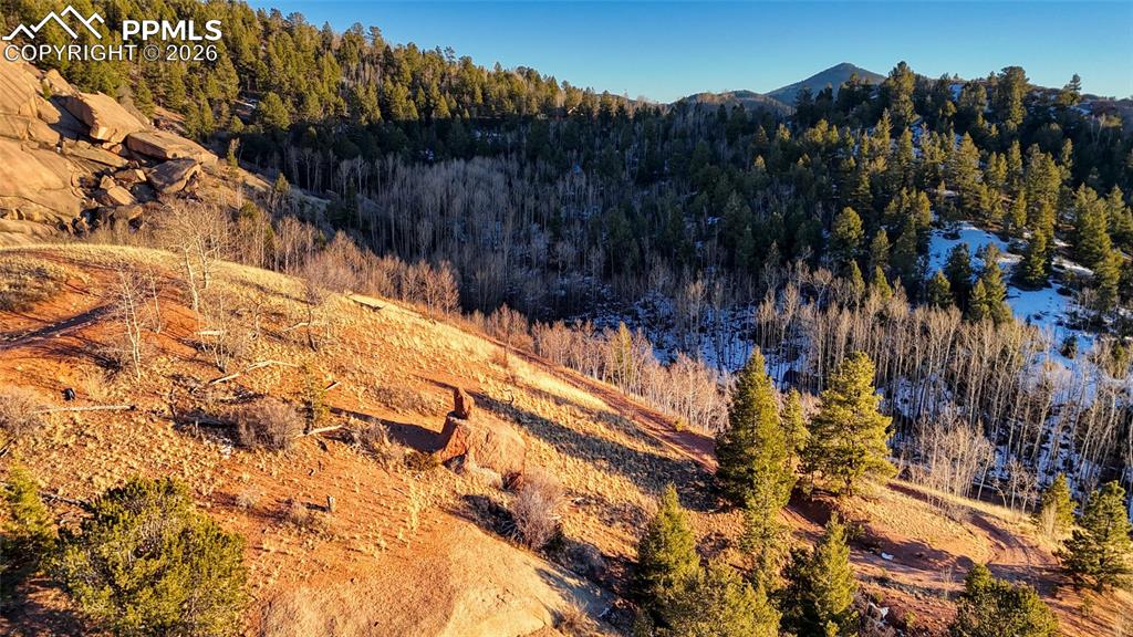 Image 14 of 23: Aerial View