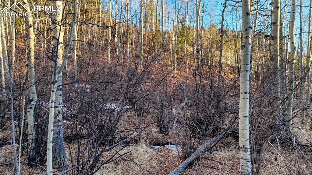 Image 18 of 23: Other