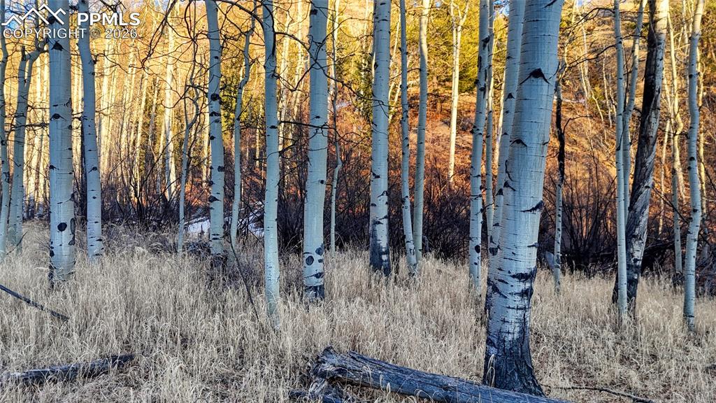 Image 19 of 23: Other