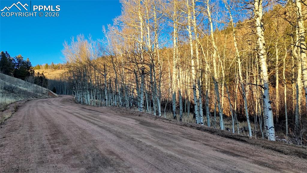 Image 2 of 23: Other