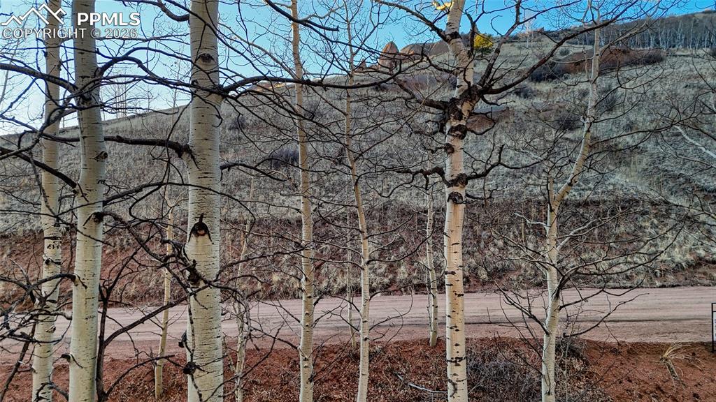 Image 20 of 23: View