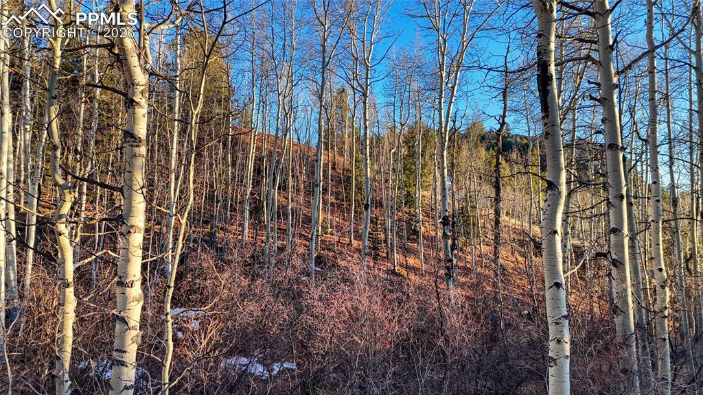 Image 23 of 23: Other