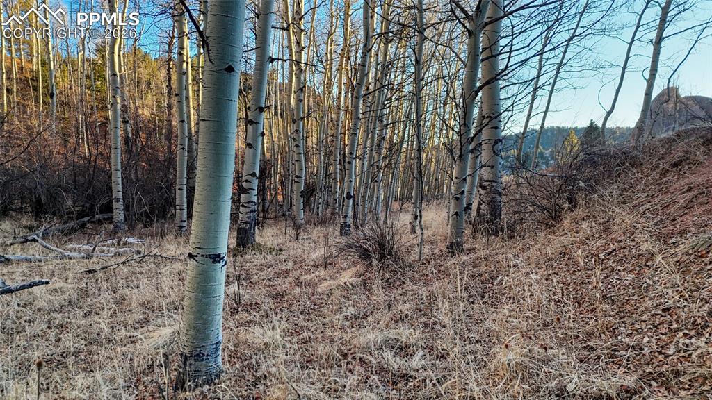 Image 5 of 23: Other