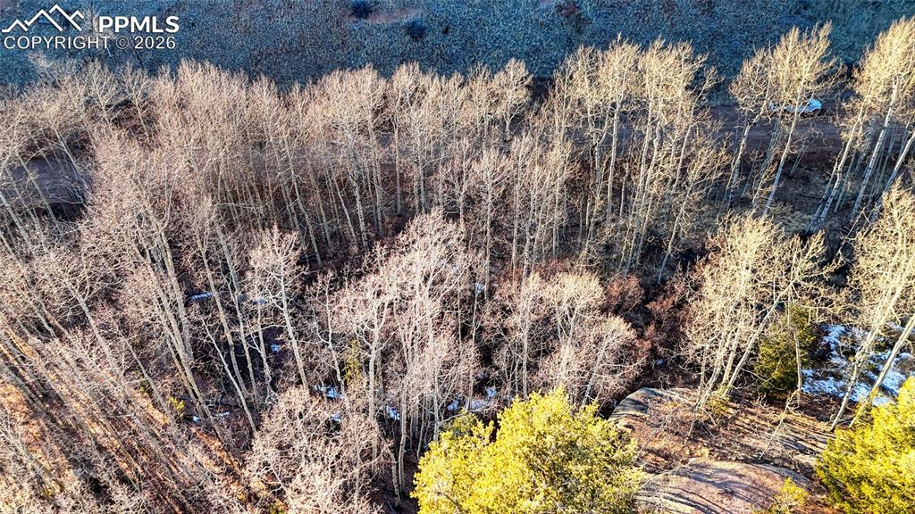 Image 6 of 23: Aerial View