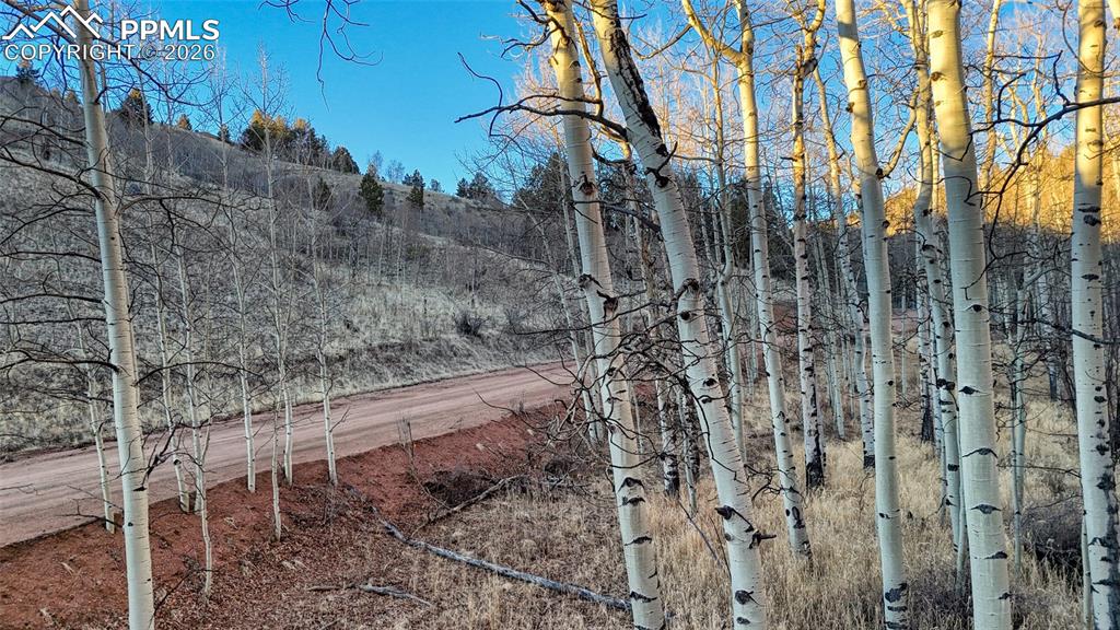 Image 8 of 23: Other