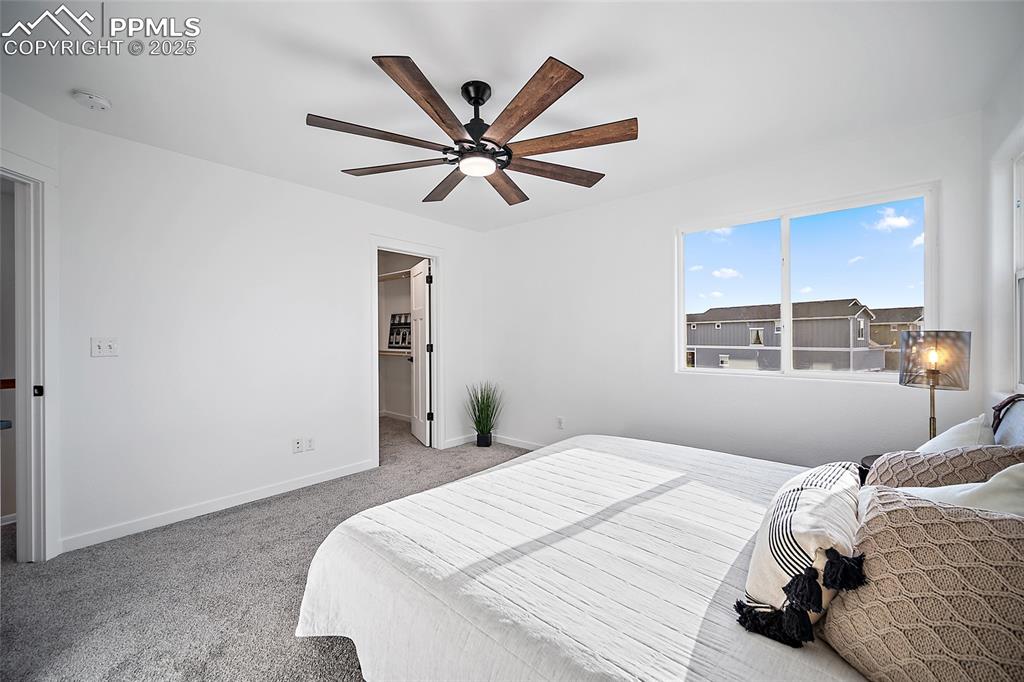 Image 26 of 50: Master Bedroom