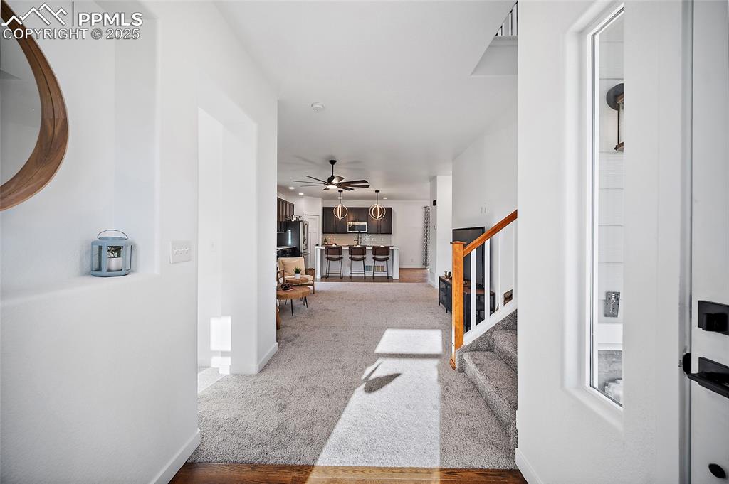 Image 4 of 50: Entry