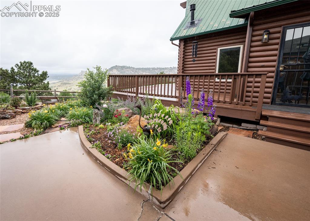 Image 4 of 43: Other