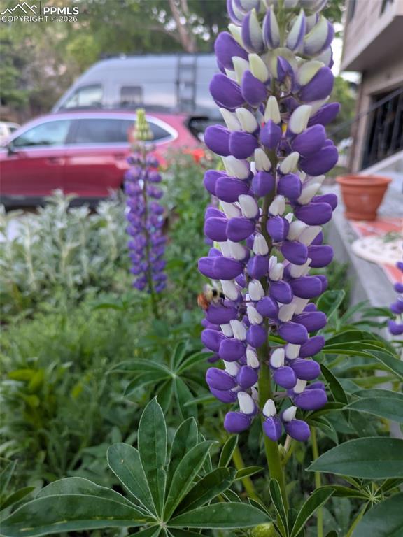 Image 3 of 21: Front of Structure