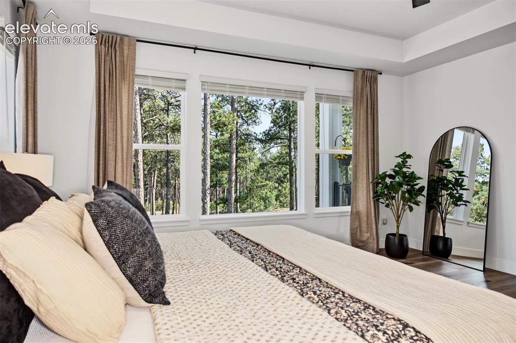 Image 27 of 50: Spacious primary suite featuring an elegant tray ceiling, expansive windows