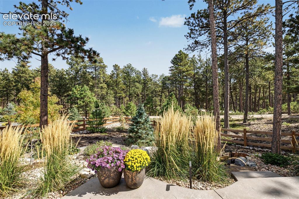 Image 45 of 50: Expansive outdoor area featuring mature pine trees, natural wood fencing, a