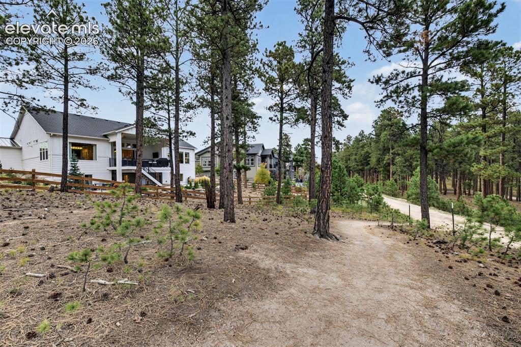 Image 48 of 50: Expansive grounds with mature pine trees, a natural landscape, and a gravel