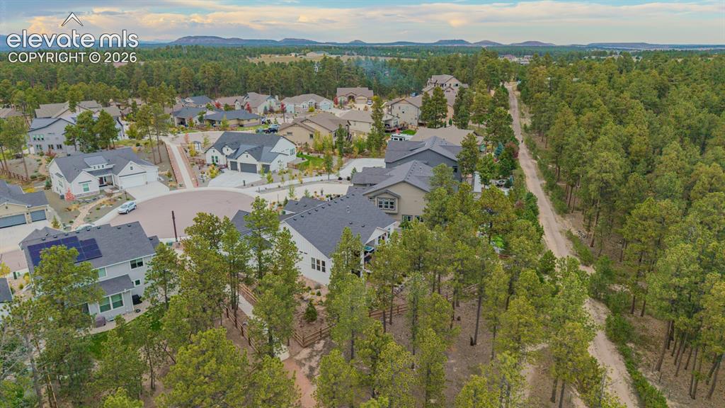Image 49 of 50: Residential community with multiple single-family homes, mature trees, and 