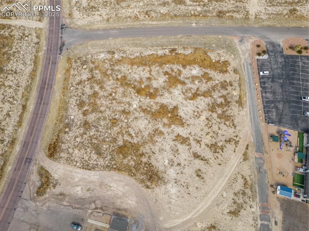 Image 11 of 18: Bird