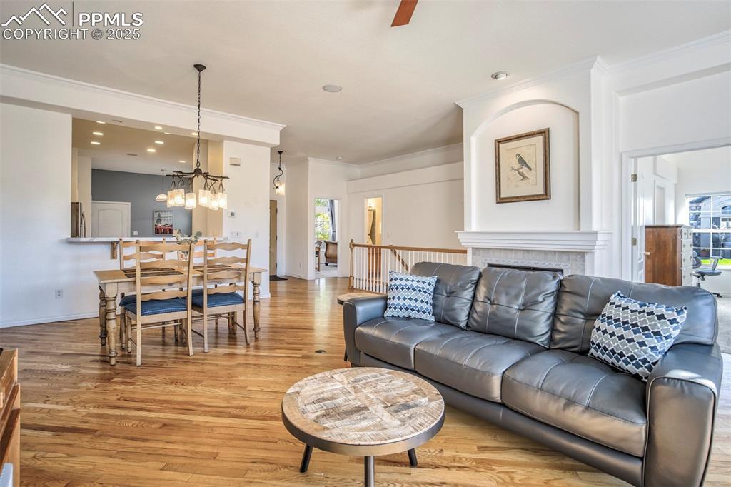 Image 11 of 33: Living room with crown molding, light wood finished floors, ceiling fan, an