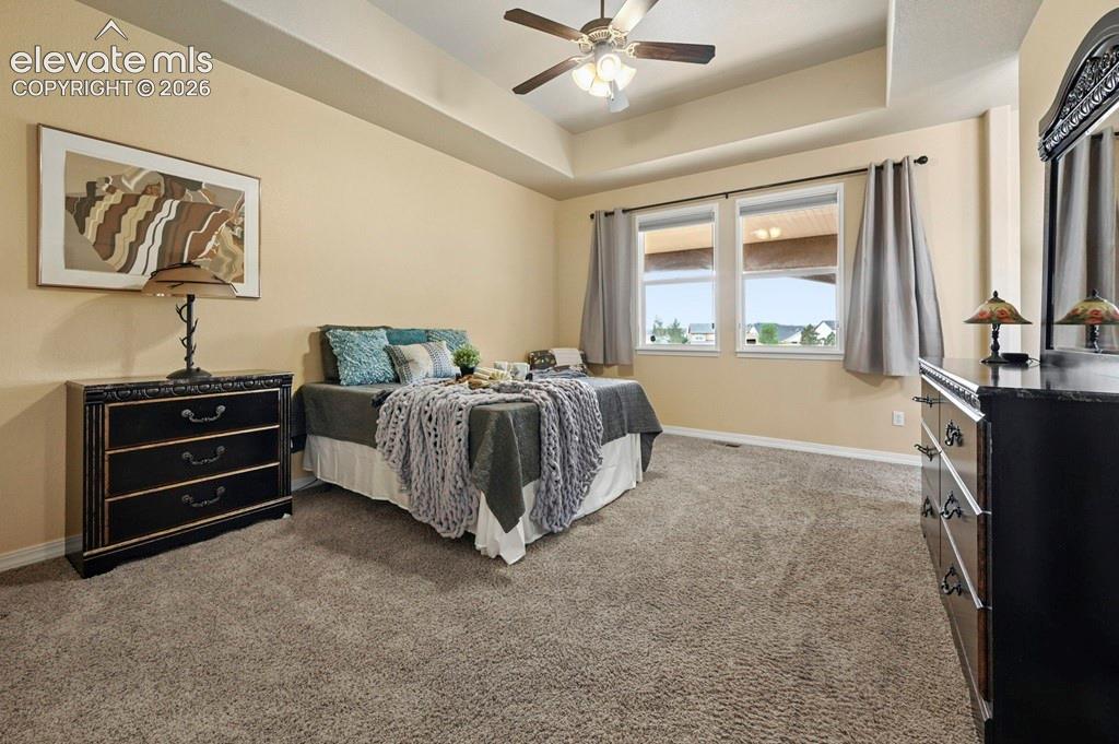 Image 15 of 39: Tray ceiling with a ceiling fan, two windows, and carpet flooring