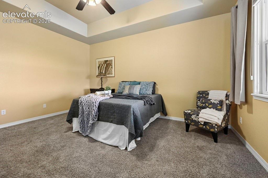 Image 17 of 39: Tray ceiling with a ceiling fan, light-colored walls, window with blinds, a