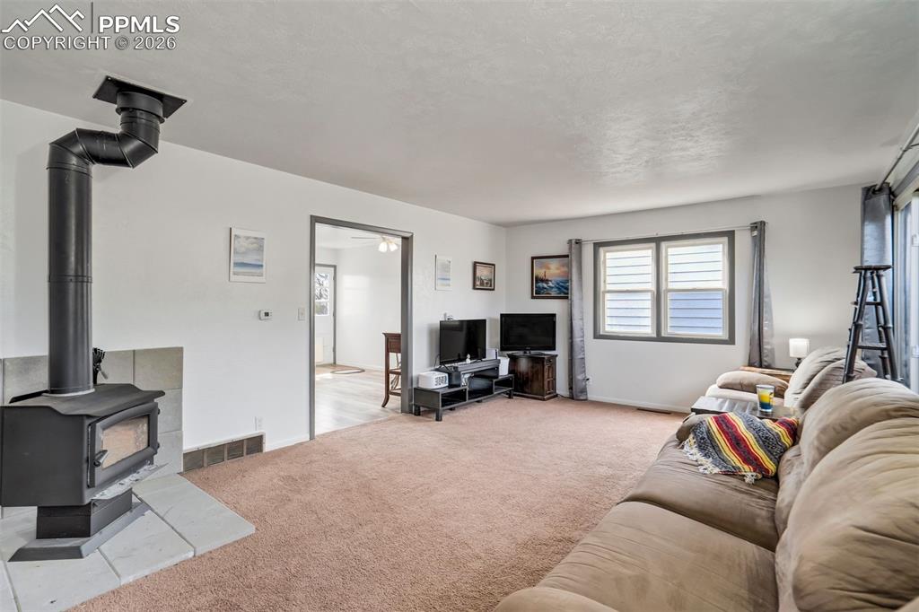 Image 8 of 37: Carpet in the living room.
