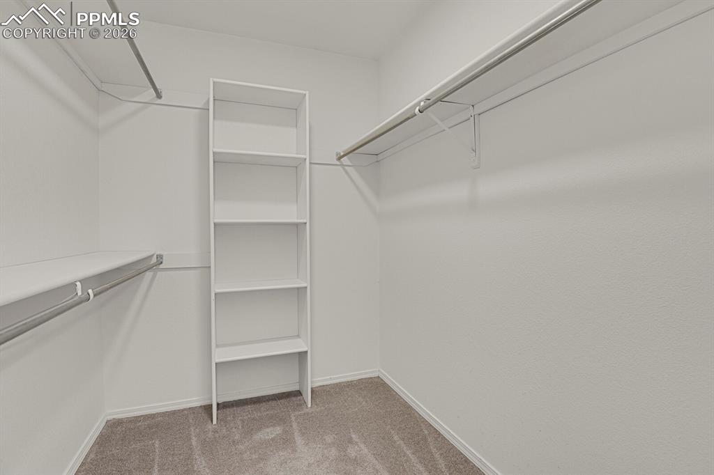 Image 29 of 50: Spacious closet with carpeted flooring, built-in shelving, and hanging rods