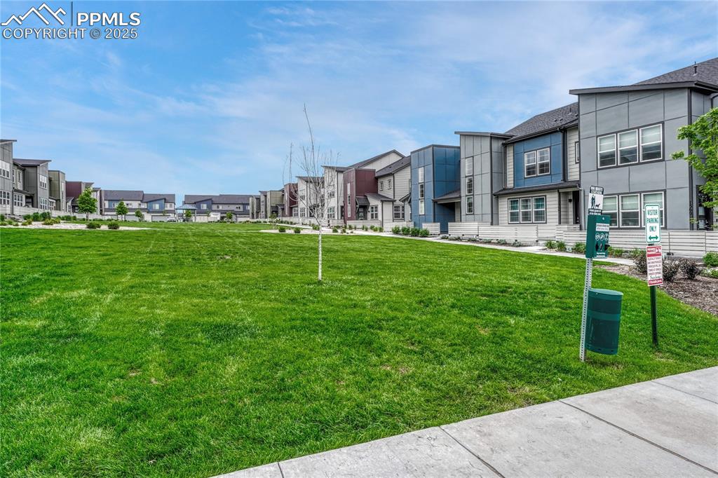 Image 6 of 37: Community