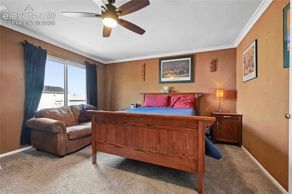 Image 18 of 41: Primary bedroom suite upstairs with fresh carpeting