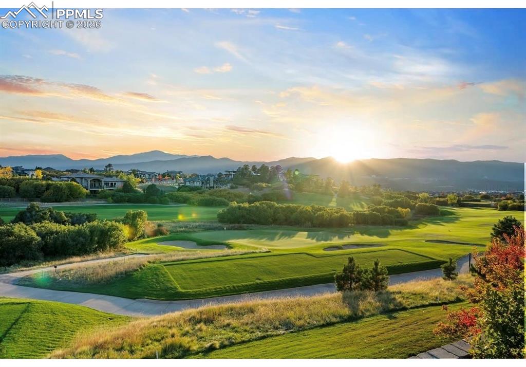 Image 49 of 50: Community