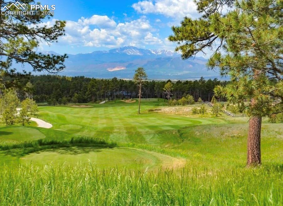 Image 50 of 50: Community