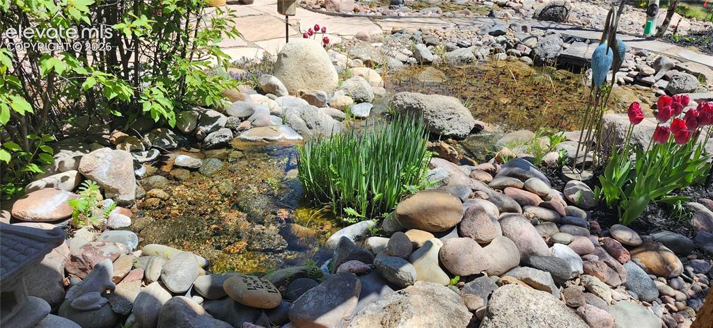 Image 6 of 50: Water feature