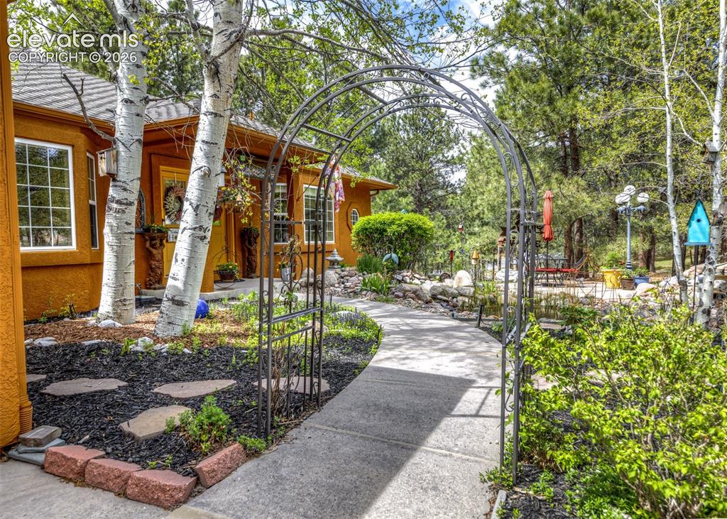 Image 8 of 50: Entryway featuring an arched trellis over a concrete pathway, surrounded by