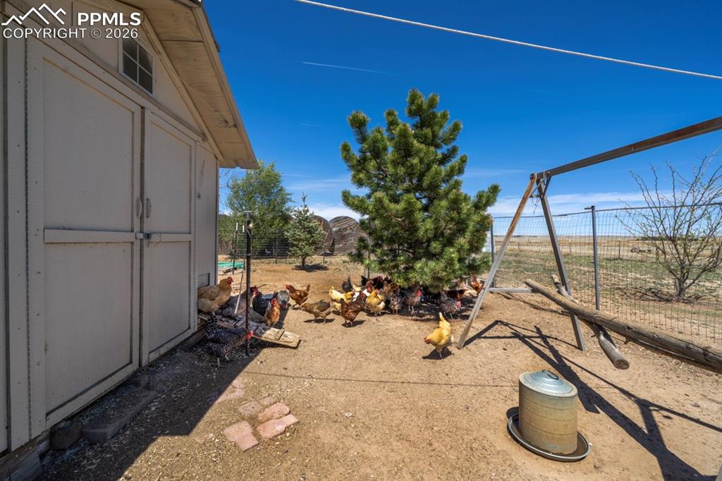 Image 28 of 42: Yard